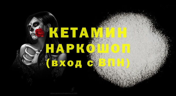 сатива Лабытнанги