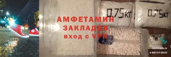 сатива Лабытнанги