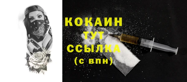 спиды Лагань