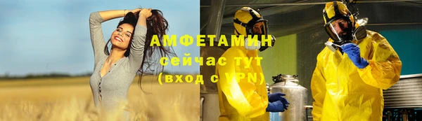 ПСИЛОЦИБИНОВЫЕ ГРИБЫ Кукмор