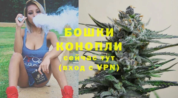 спиды Лагань
