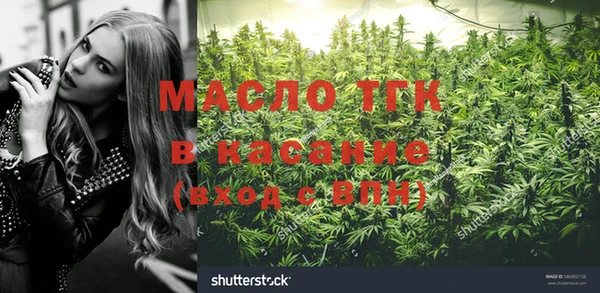 сатива Лабытнанги