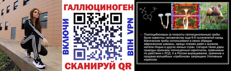 MEGA ONION  нарко площадка Telegram  Галлюциногенные грибы прущие грибы  где найти   Мыски 