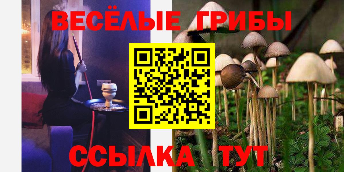 Галлюциногенные грибы Psilocybine cubensis Мыски